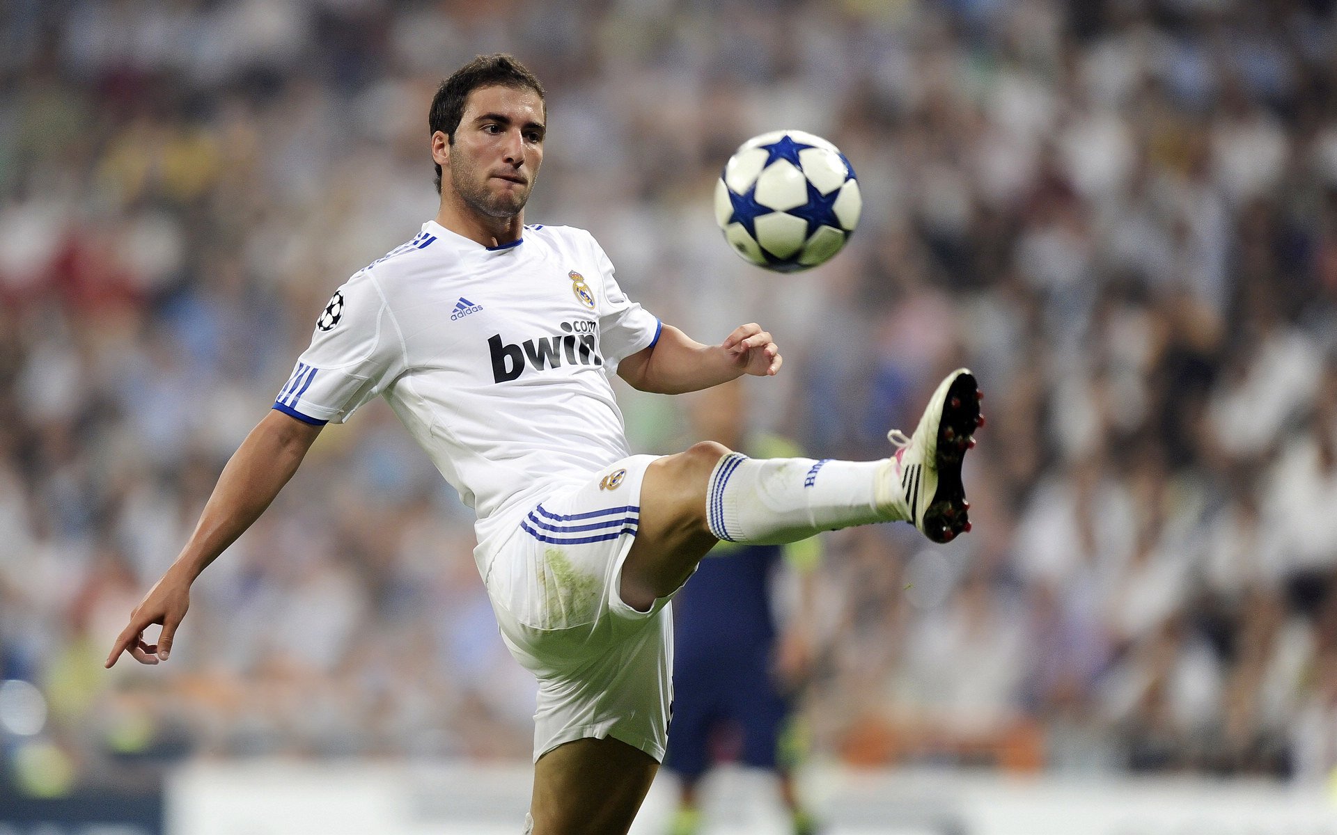 赛道上的公牛,F1街道赛焦点战中的横扫哲学