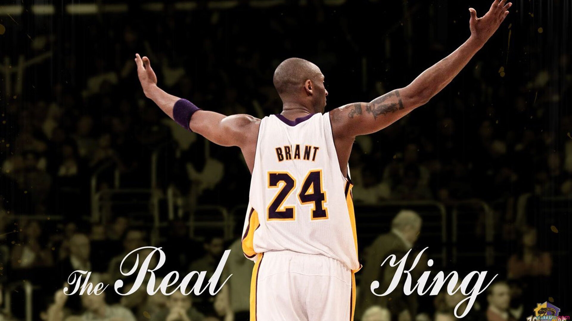 末节之王!福克斯攻防统治助辽宁队带走活塞